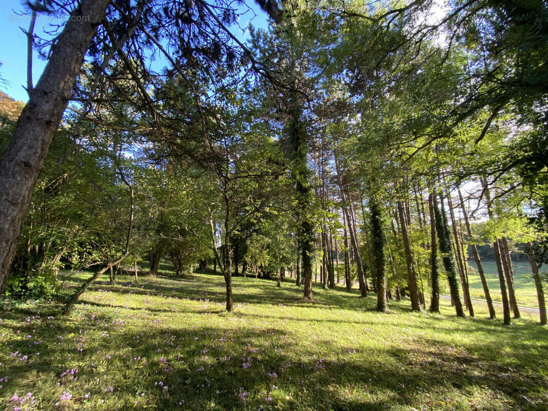 5 - Maison à SAINT-LAURENT-DES-COMBES