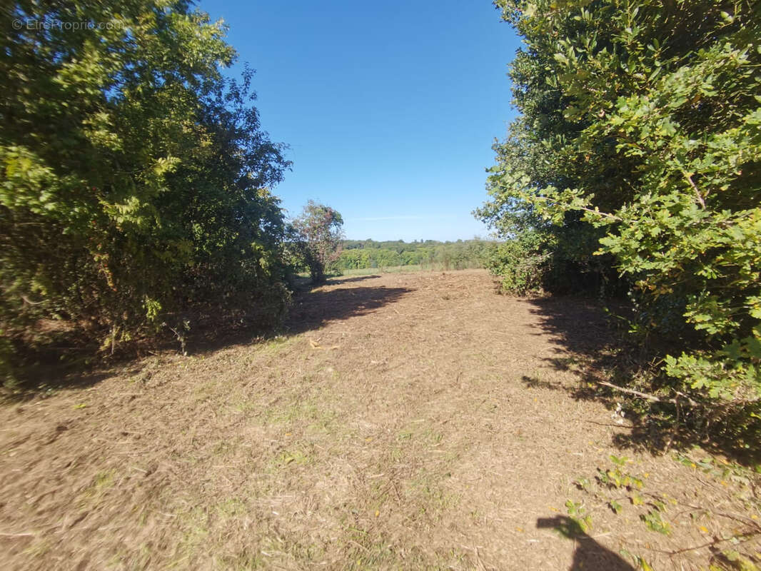Maison à SAINT-CLAUD