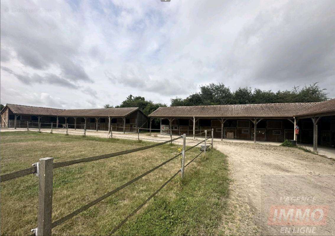 Haras / Equestre - photo 2