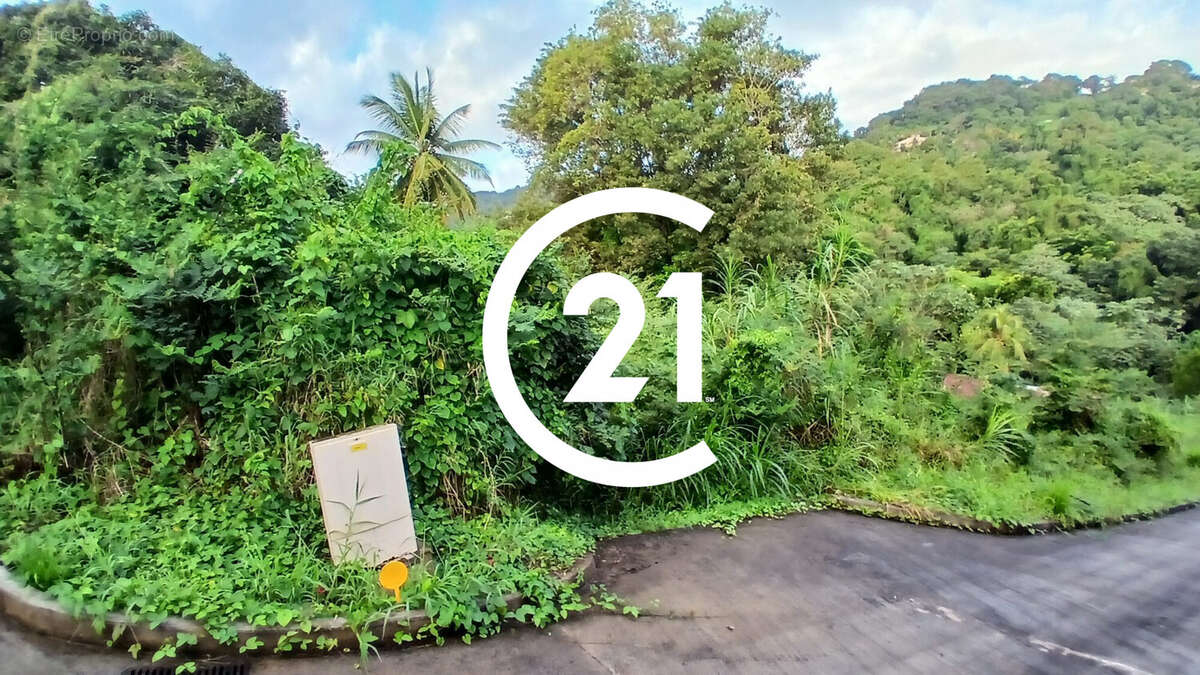 Terrain à LE FRANCOIS