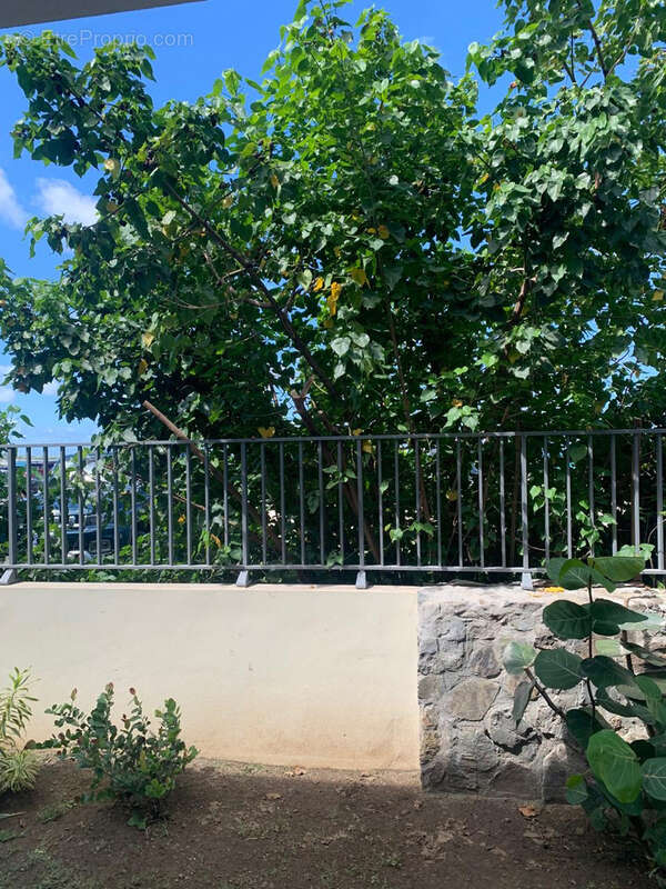 Superbe studio en première ligne résidence Alamanda à la Baie Orientale à SXM - photo 12