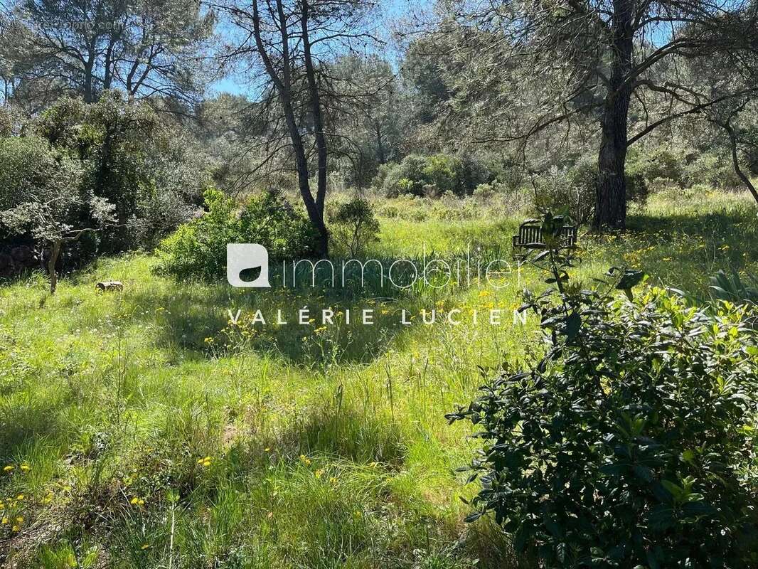 Ravissant mas  avec piscine au cœur des Alpilles - photo 5