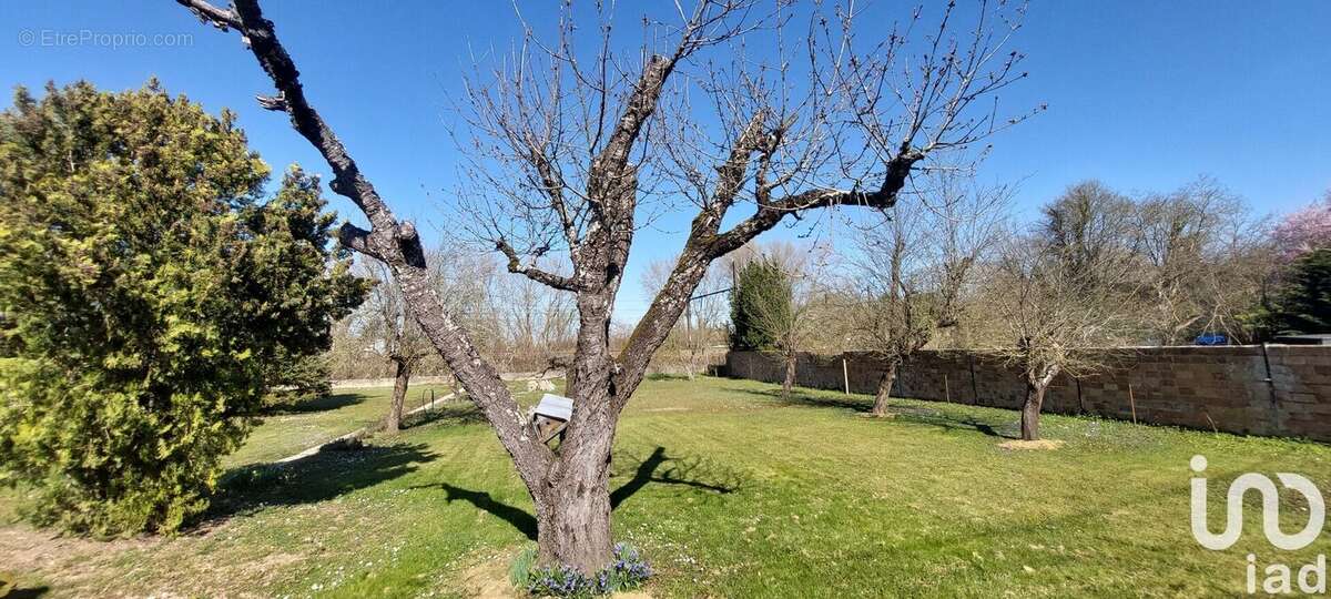 Photo 4 - Terrain à CHAMPIGNY