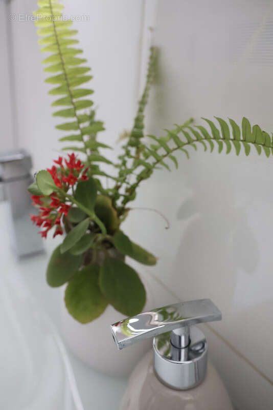 Maison à SAINTE-ANNE