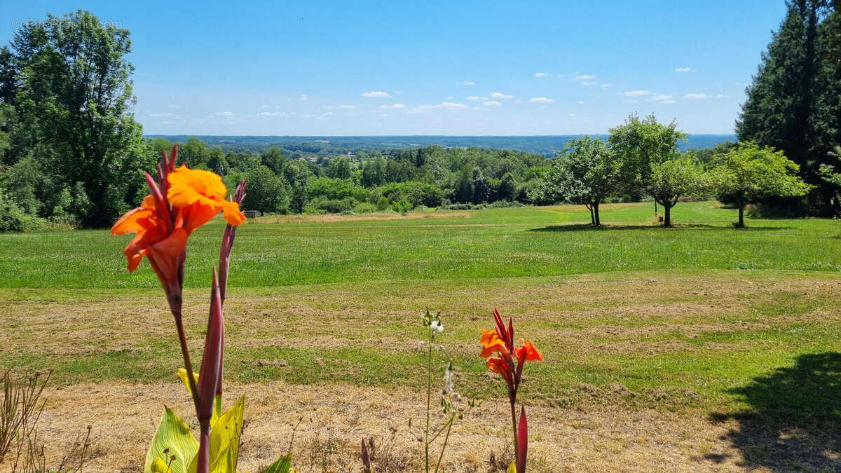 Vue imprenable pour cet ensemble de gîtes et habitation - photo 3