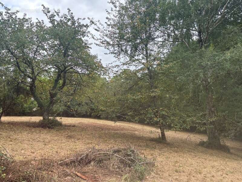 Terrain à vendre de 2 247,00 m²  () - photo 7
