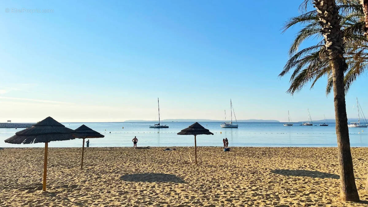 Commerce à LE LAVANDOU