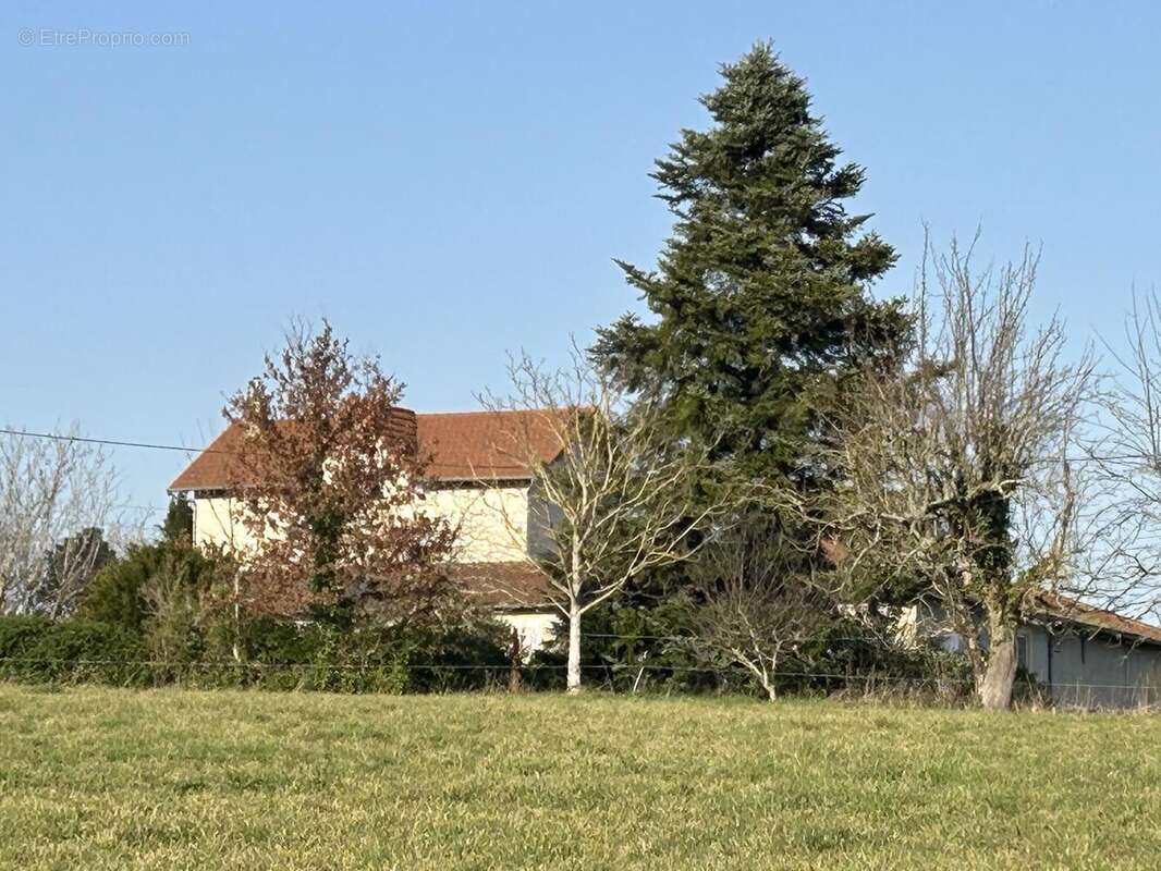 Photo 4 - Maison à CHARLIEU