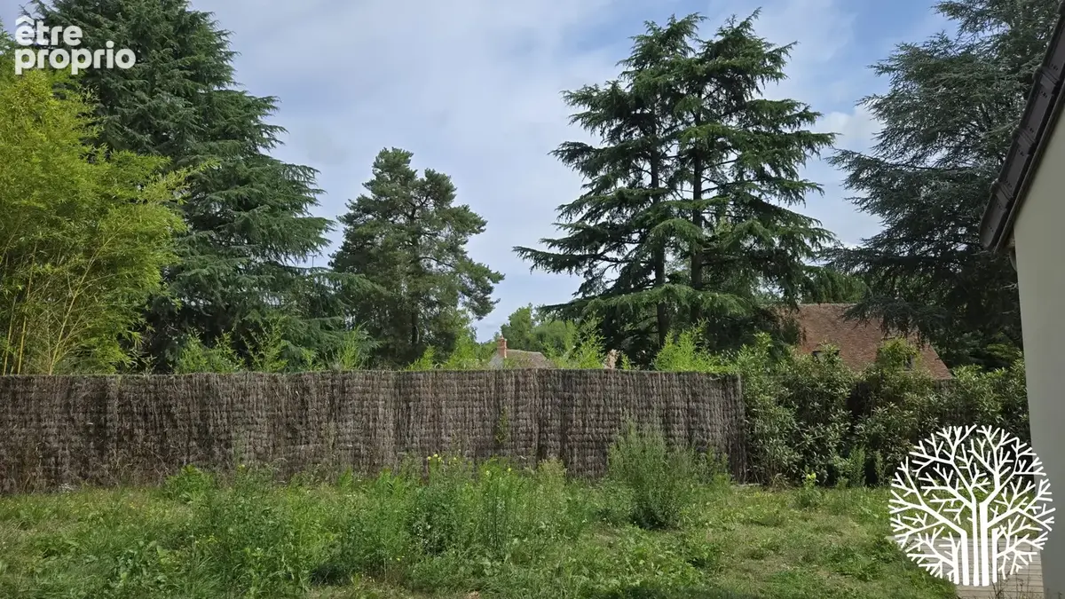 Charmante maison avec un petit coin de forêt ! - photo 15