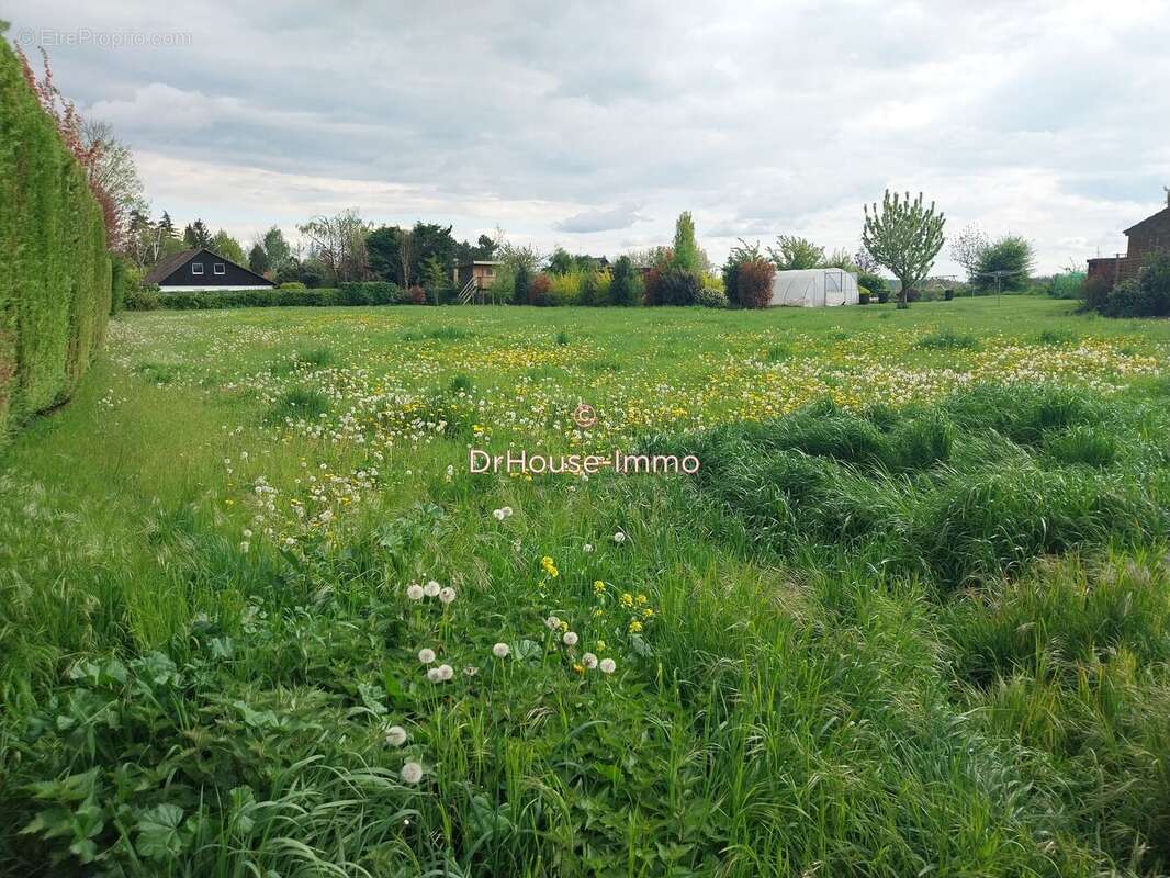Terrain à SAINGHIN-EN-MELANTOIS