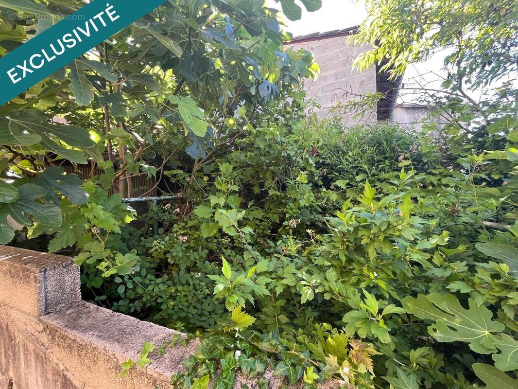 Maison 30 m² à Toulaud  - photo 7