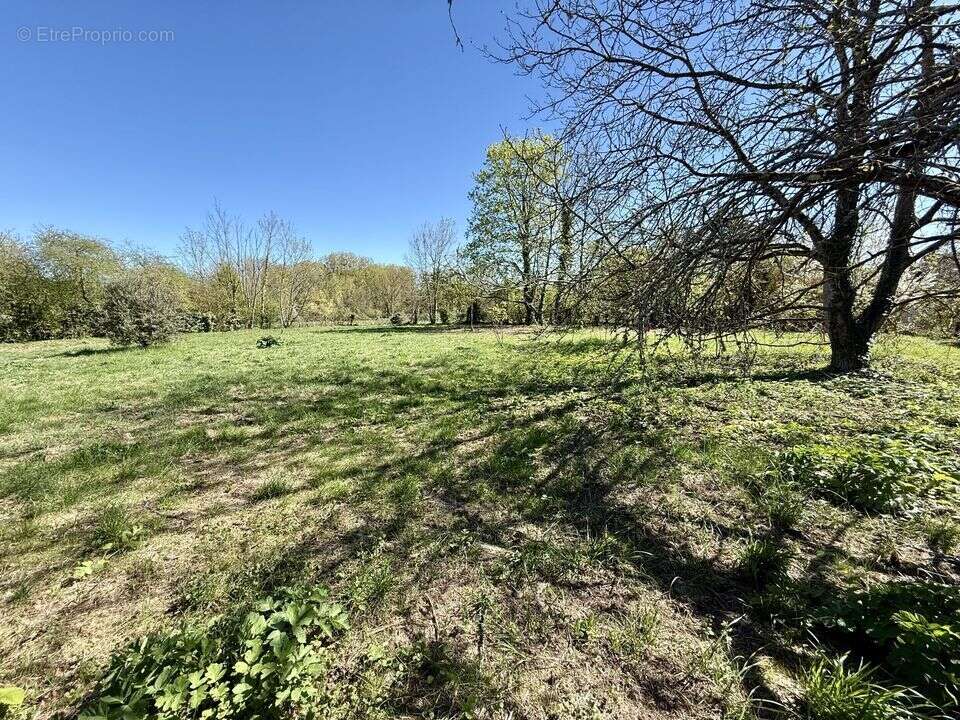 Propriété de Caractère sur 3645 m² de terrain : Le - photo 17