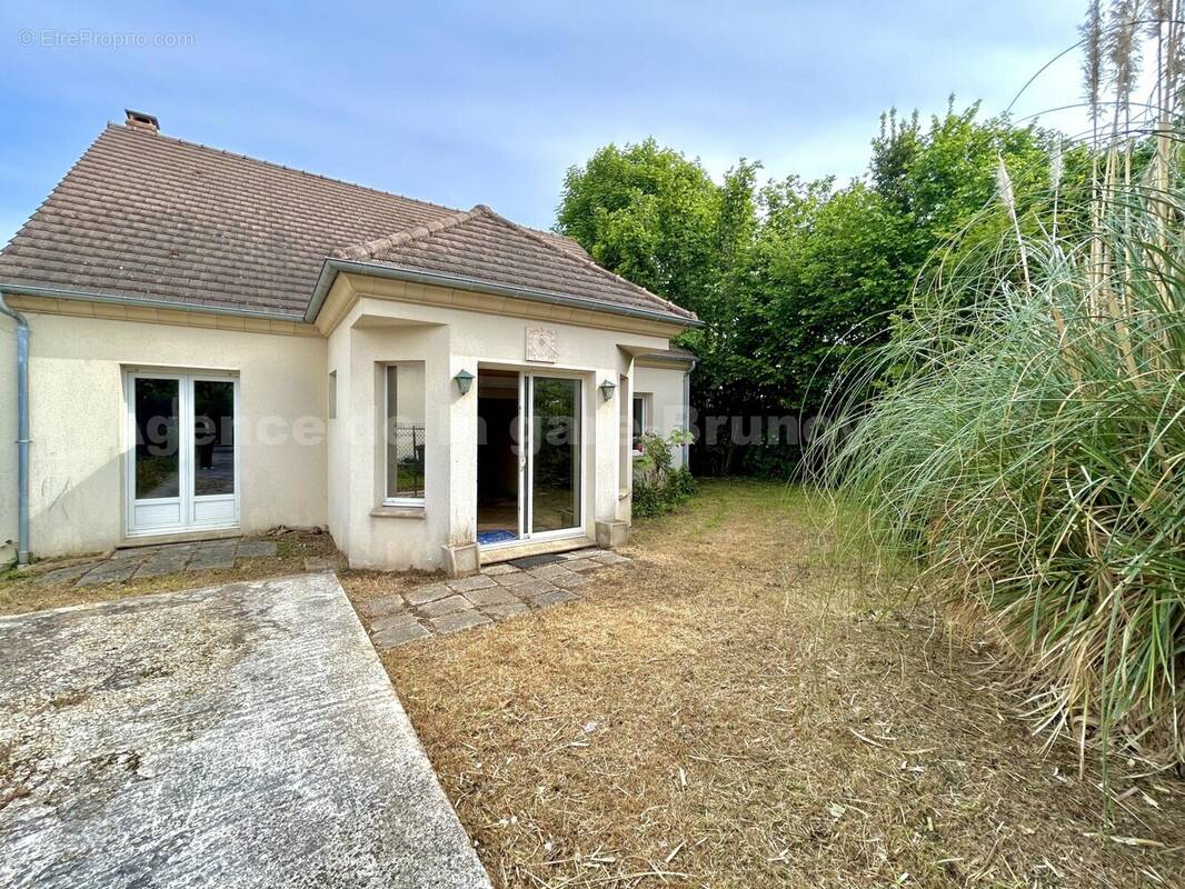 IMG_6772 - Maison à BRUNOY