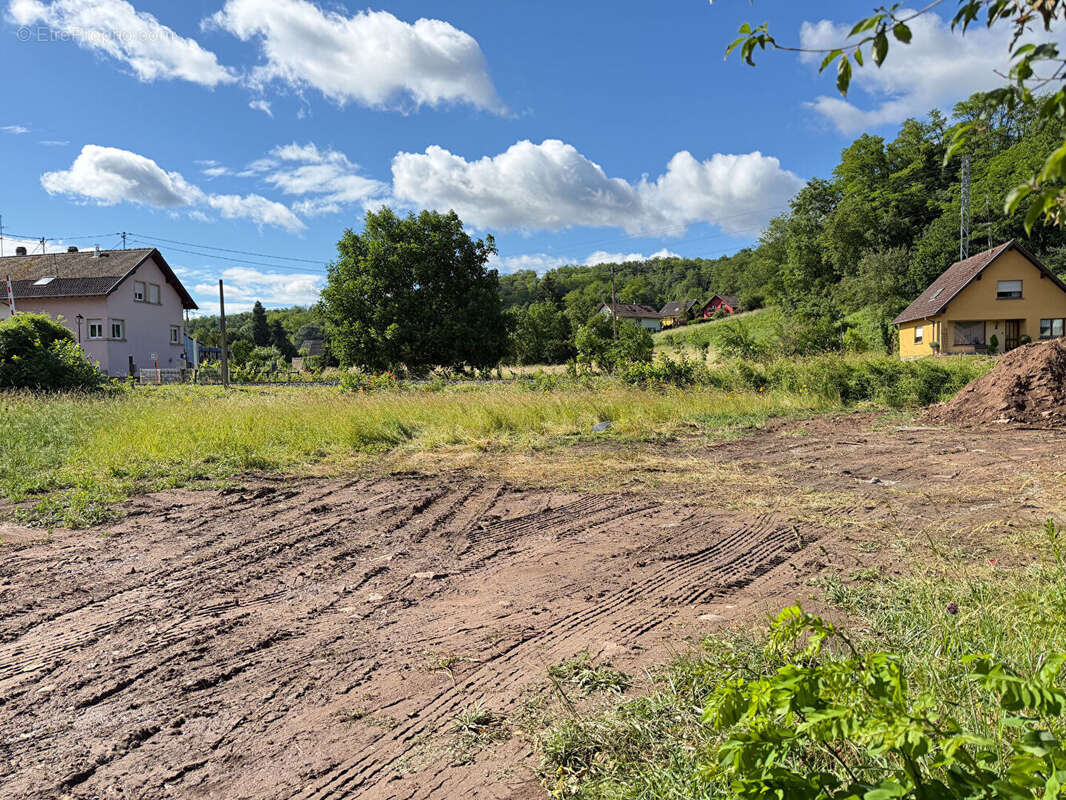 Terrain à MUTZIG