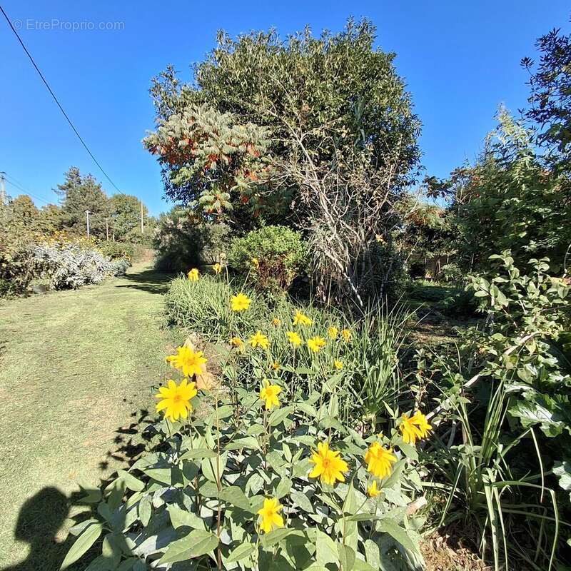 Maison à CHASSENEUIL-SUR-BONNIEURE