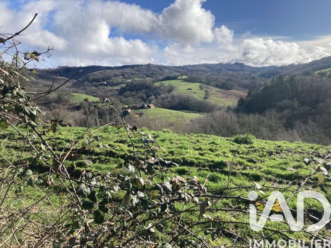 Photo 4 - Terrain à LOSTANGES