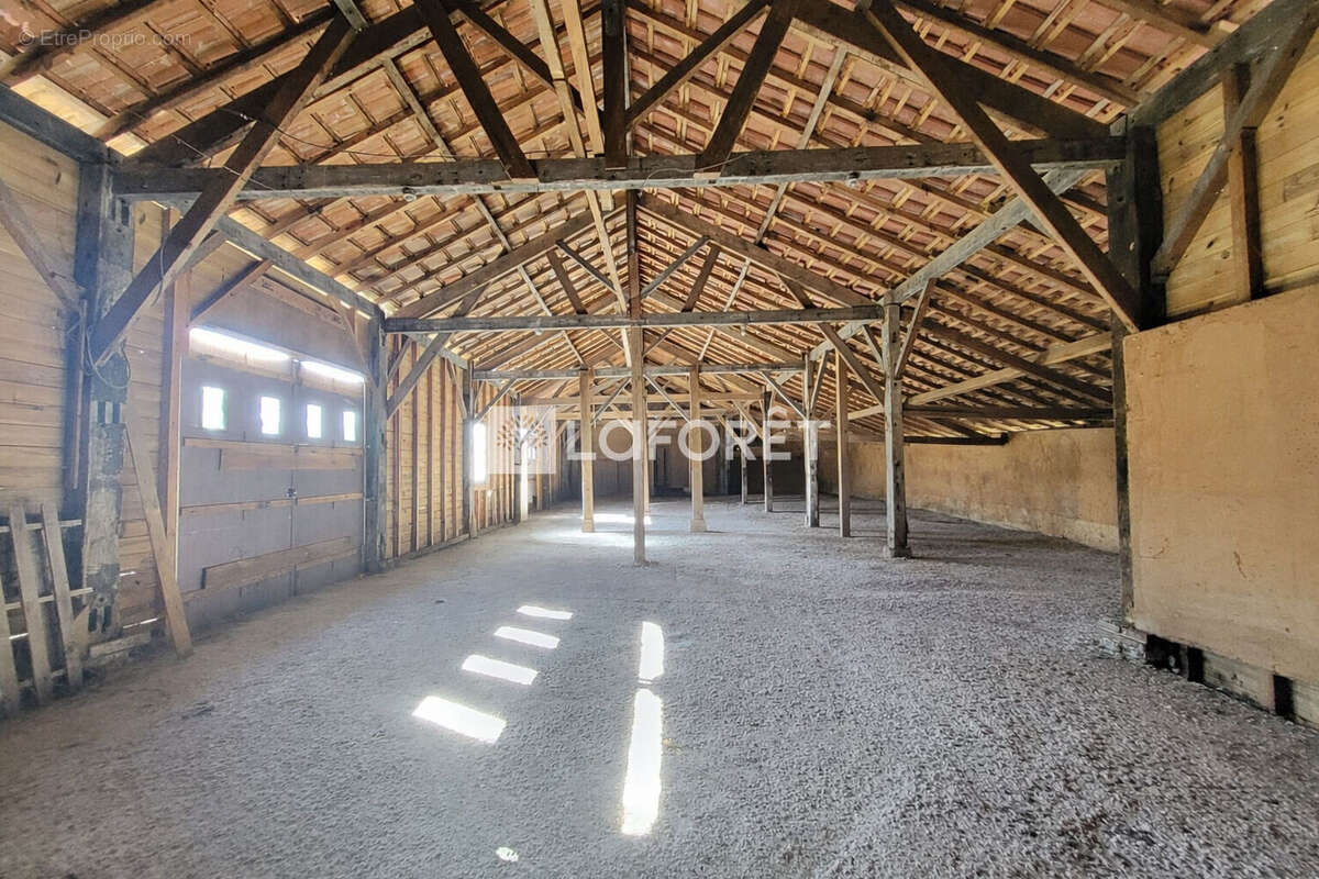 Grange de 280 m² sur 2994 m² de terrain à SAINT PAUL EN BORN. - photo 2