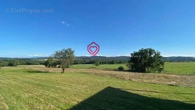 Longère avec dépendances et vue Pyrénées - photo 13