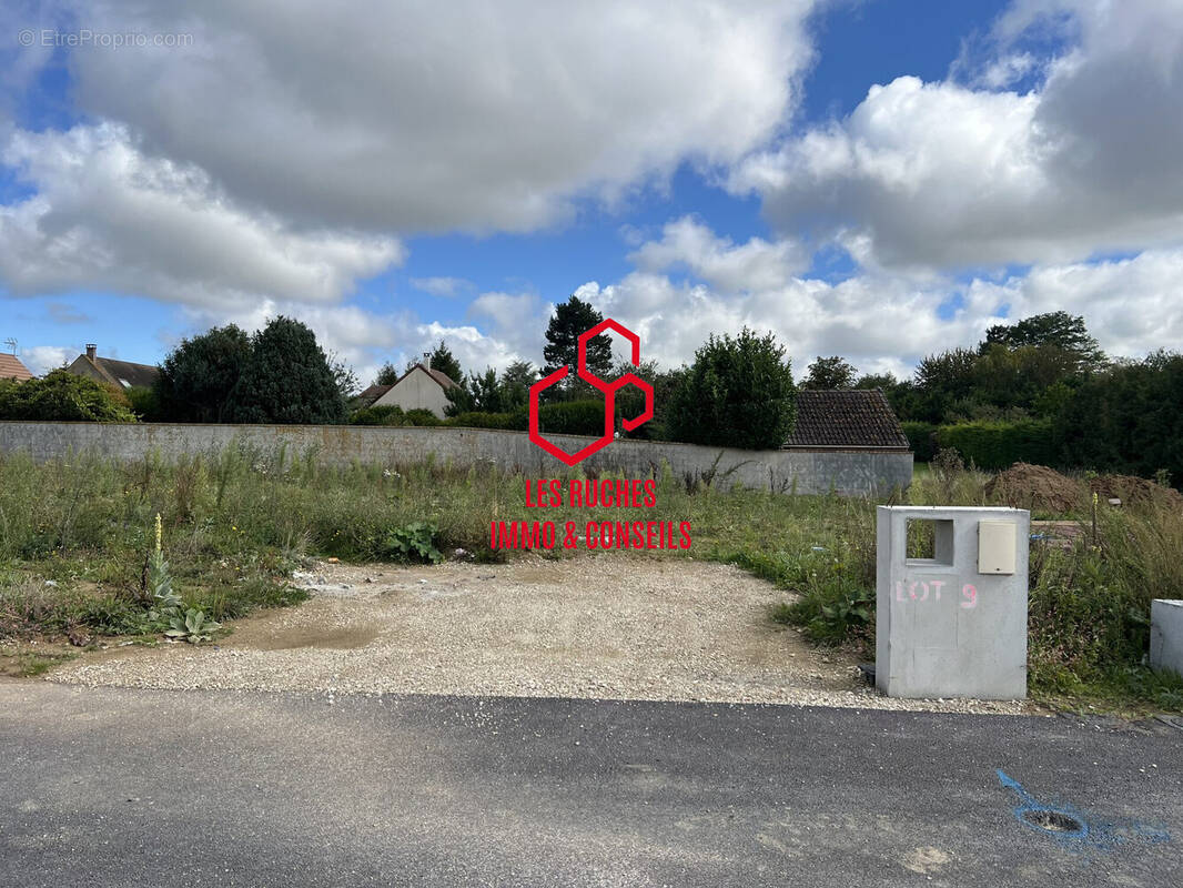 Terrain à SAINTINES