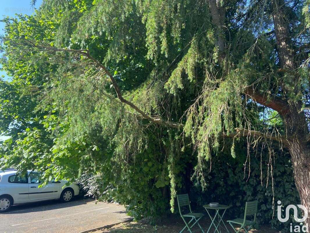 Photo 9 - Commerce à POCE-SUR-CISSE