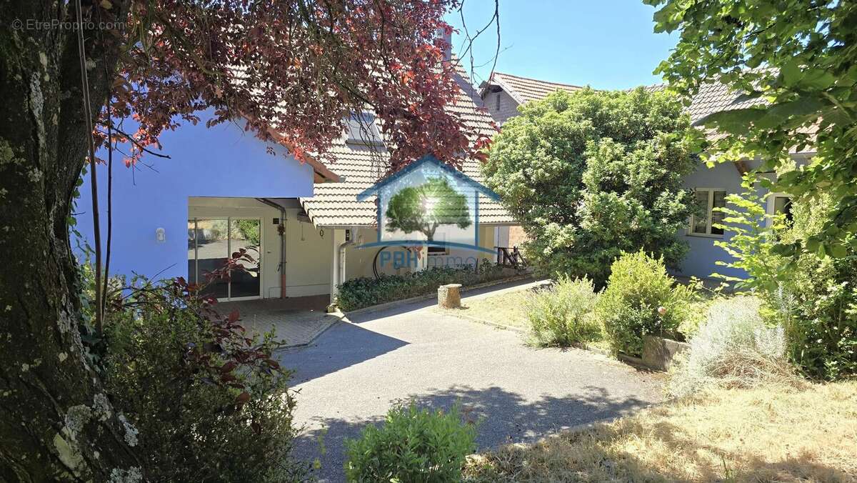 Oberroedern (67) - maison + appartements - photo 5