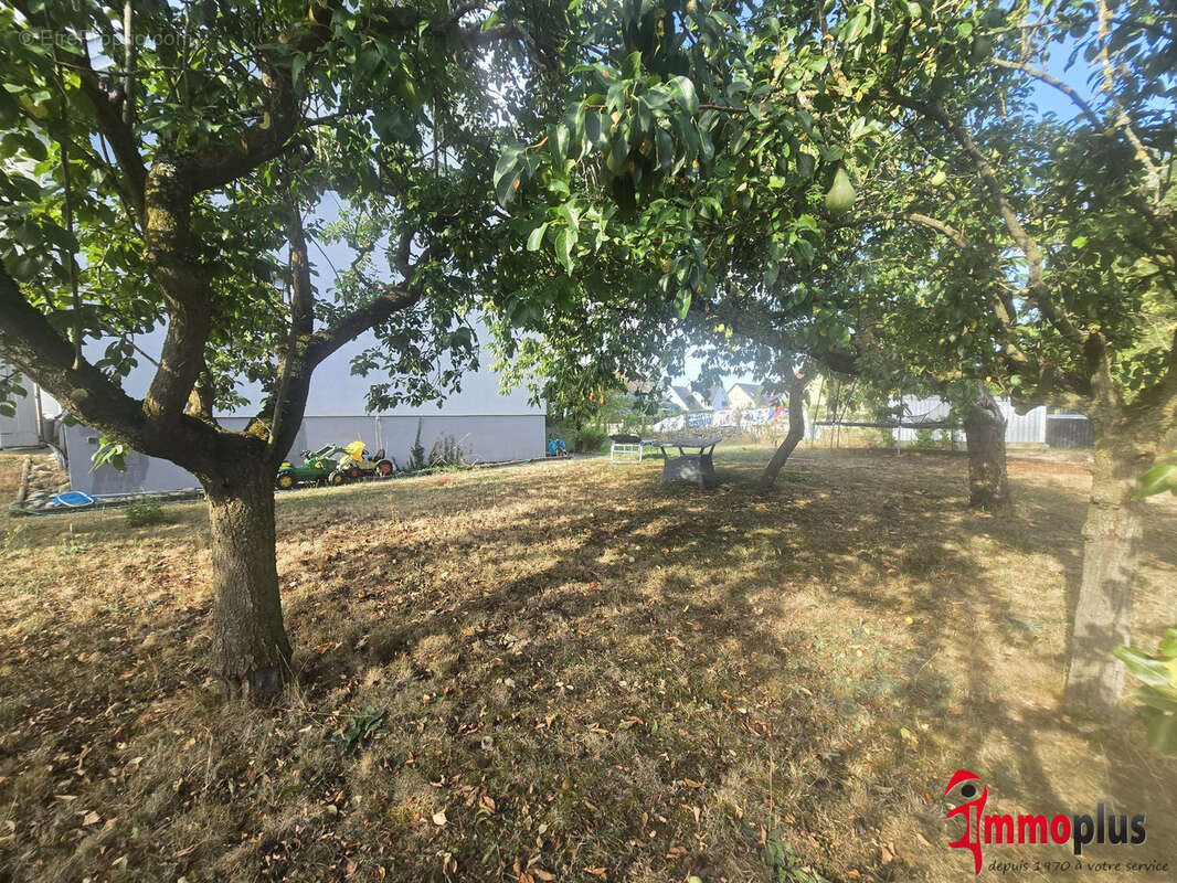 Rumersheim-Le-Haut : maison familiale 4 chambres et 1 studio - photo 25