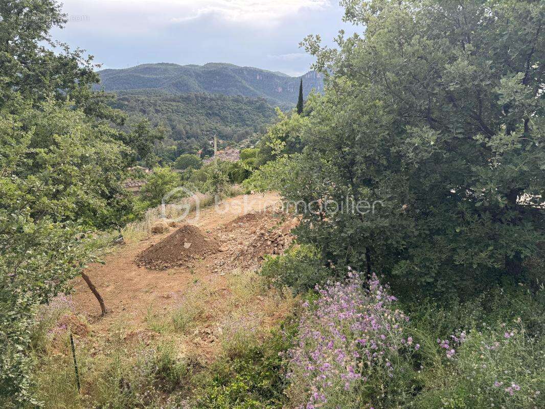 Terrain à BELGENTIER