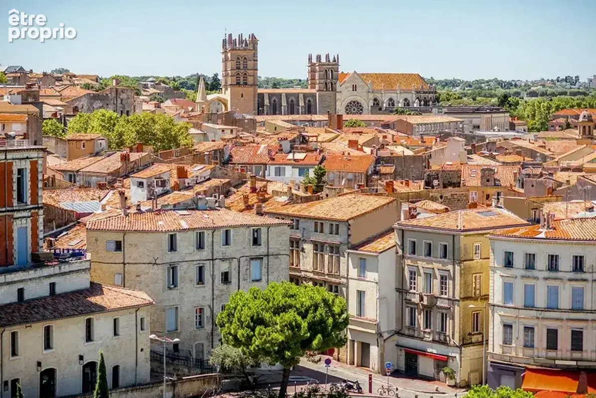 Montpellier : Idéal investissement locatif - photo 10