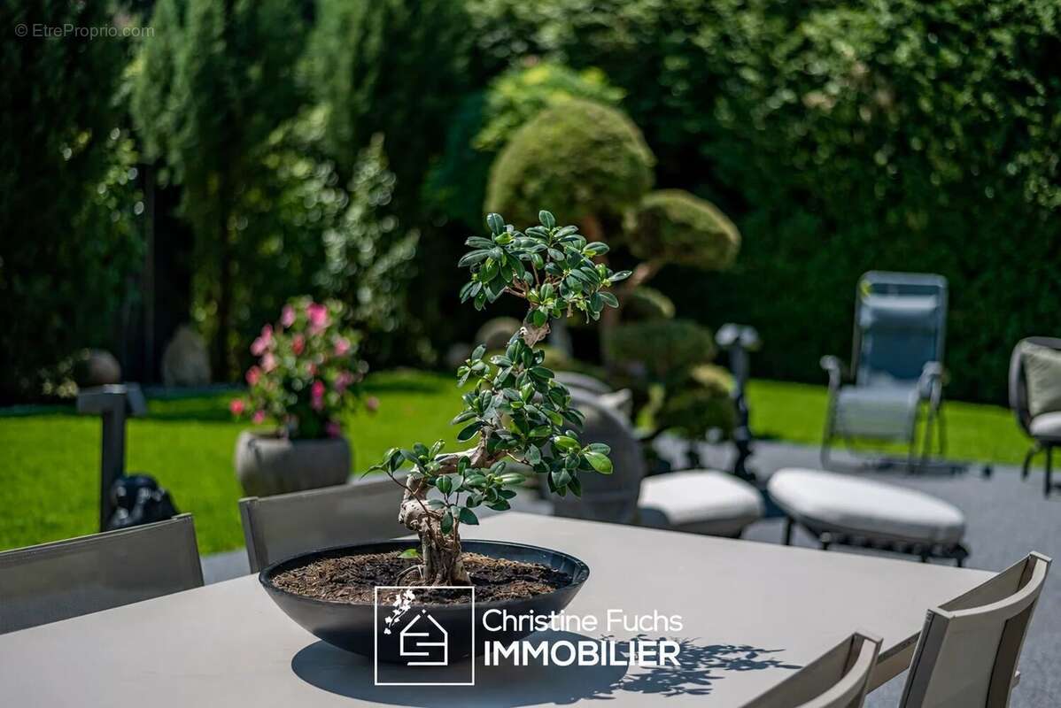 Marienthal - Une maison repensée avec élégance - photo 40