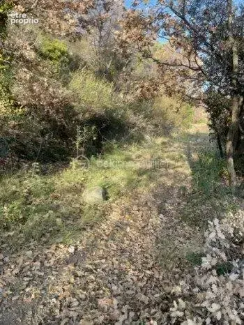 Terrain de loisirs 4150 m2 Prades - photo 3