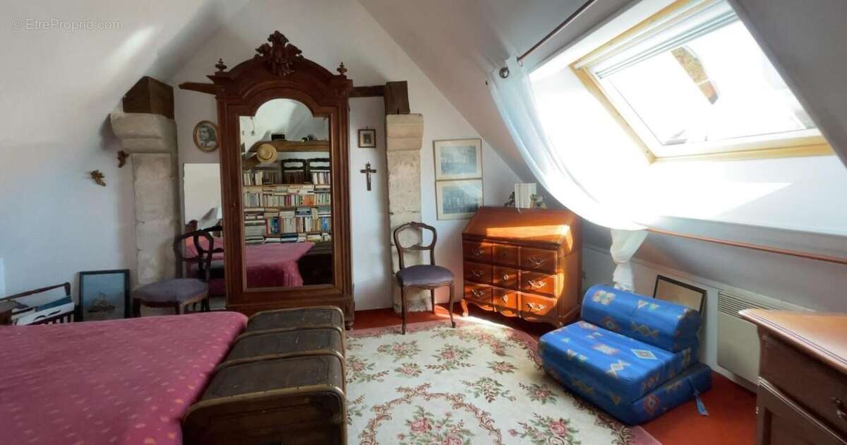 Le pin au haras - photo 6