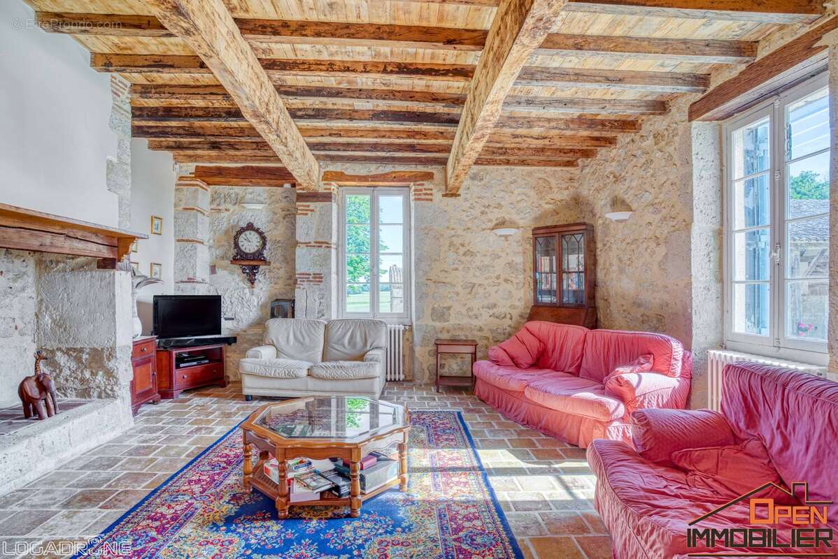 Maison 300 m² à Clermont-Soubiran  - photo 33