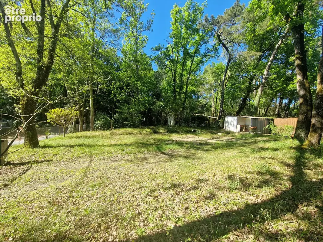 ENVIRONNEMENT BOISÉ - Terrain de 450 m²  avec réseaux en bordure - photo 6