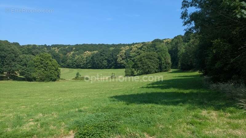 Perche sarthois Longère dépendances sur 11 hectares - photo 2