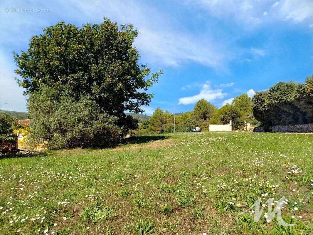 Terrain à BRUE-AURIAC