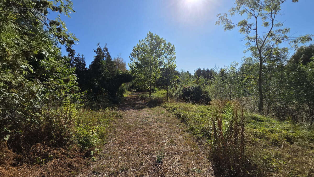 Très belle propriété de 218 m² sur plus de 20 000 m² de terrain avec étangs ! - photo 2