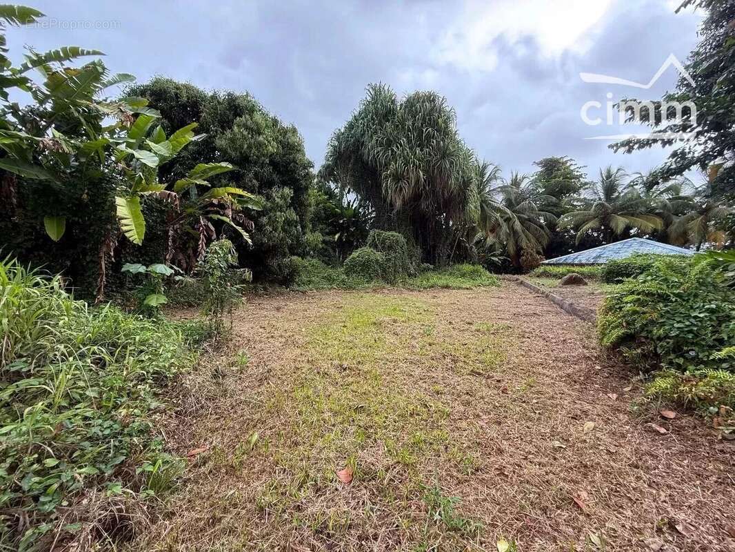 A vendre propriete deux batiments 8 pieces 304,26m² terrain 6595m² - photo 12