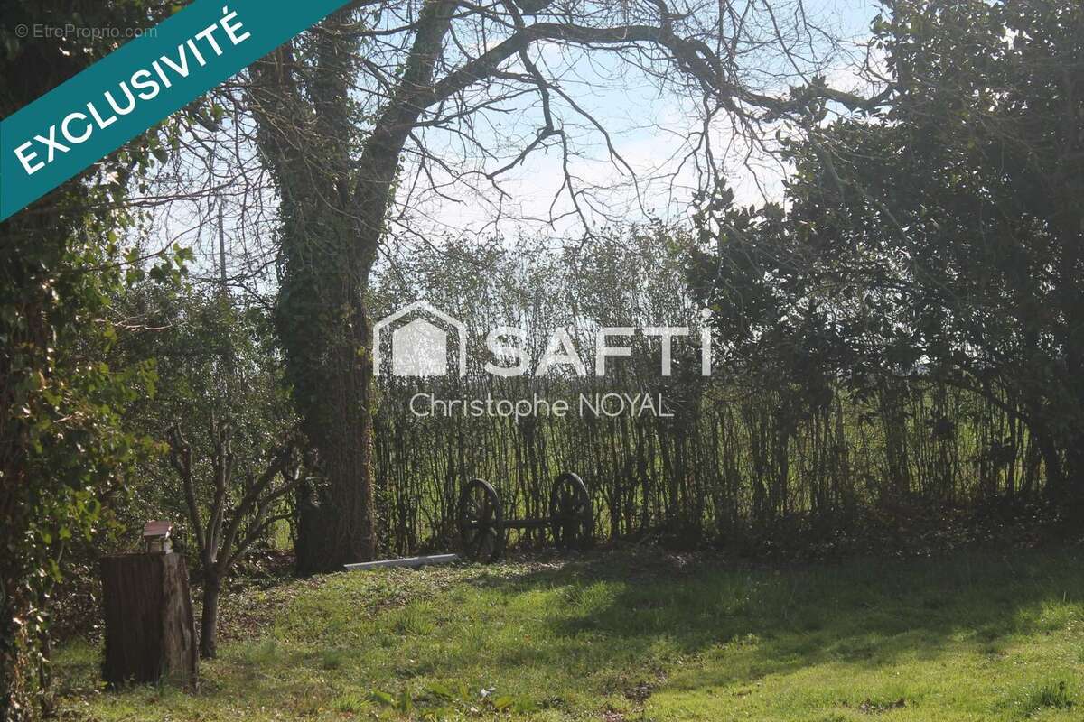 Maison 143 m² à Hagetaubin  - photo 4