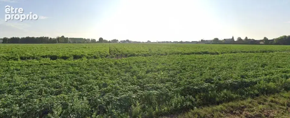 Terrain 489 m² à vendre à Raches (59194) - photo 2