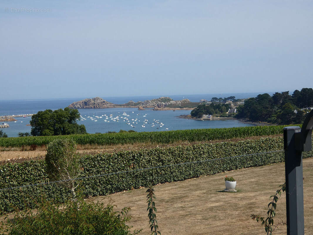 Plougasnou - Grande Maison vue mer panoramique - photo 16