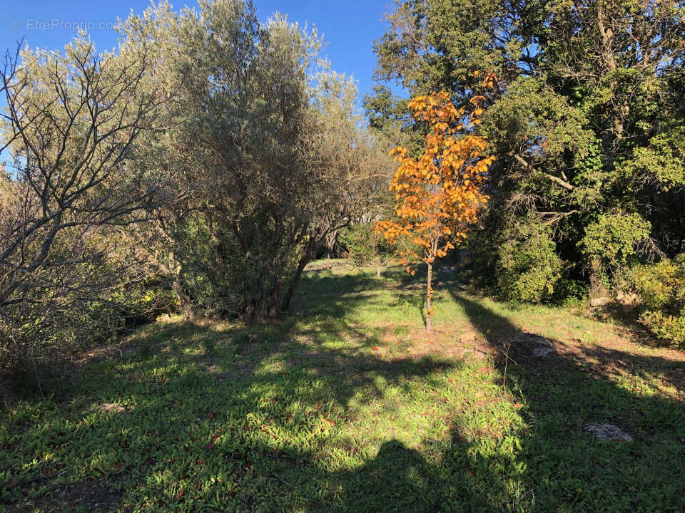 Terrain à CARNOULES