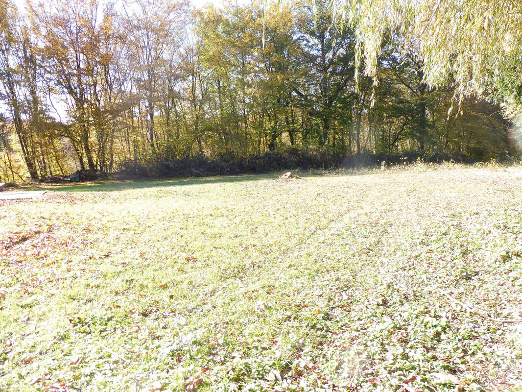 Terrain à BAVILLIERS