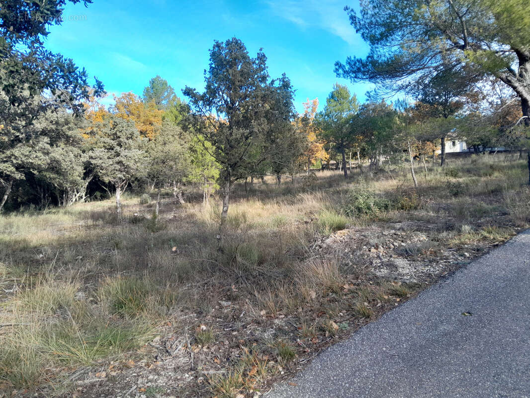 Terrain à BAUDINARD-SUR-VERDON