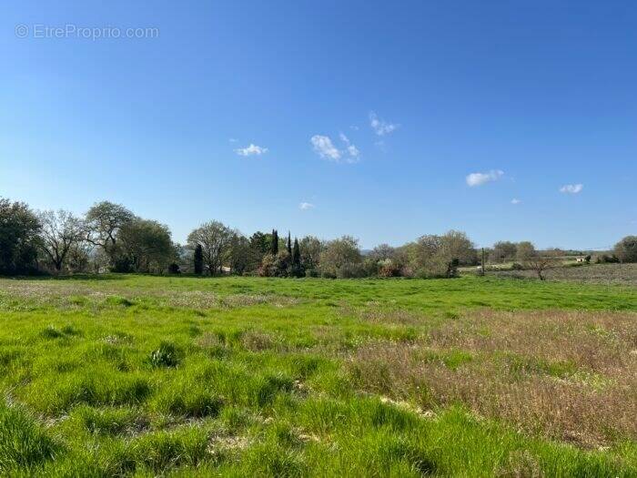 Terrain à BLAUZAC