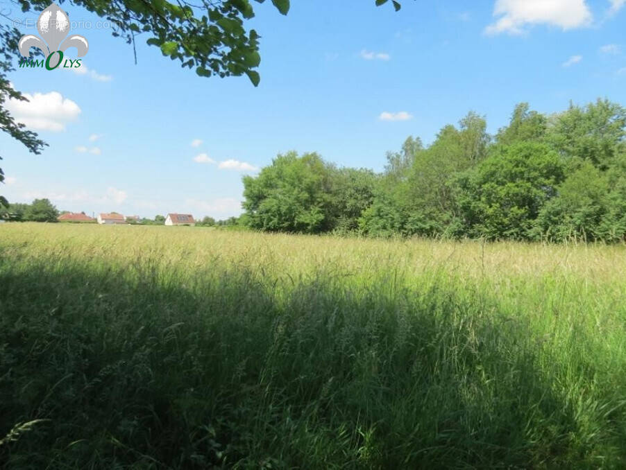 Terrain à JALLANGES