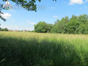 Terrain à JALLANGES