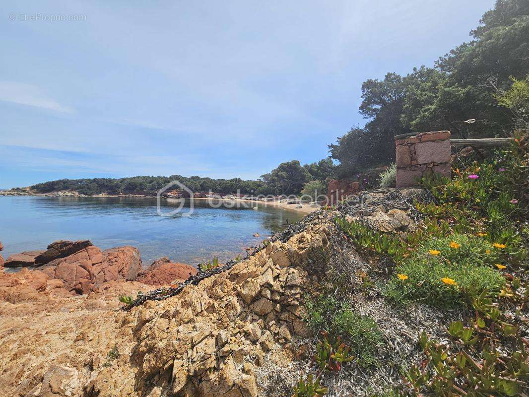 Villa face à la mer - Domaine privé de Cala Rossa - photo 25