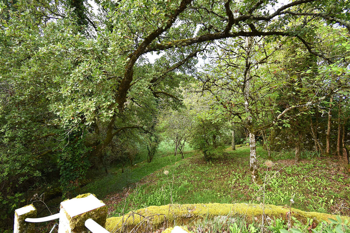 Maison à MONTAIGU-DE-QUERCY