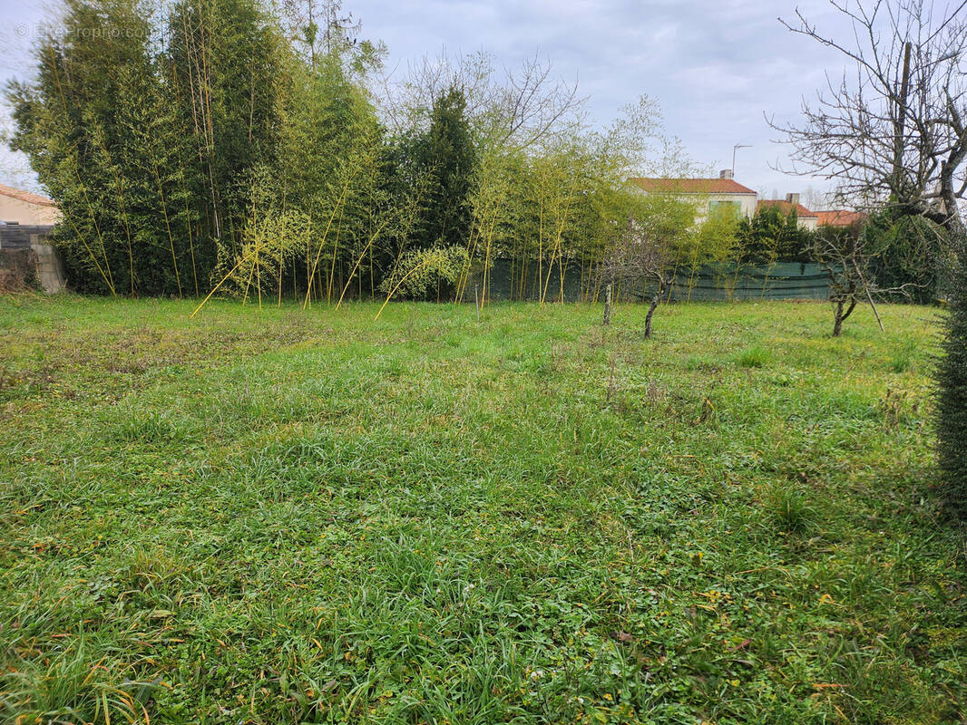 Terrain à SAINTE-GEMME-LA-PLAINE