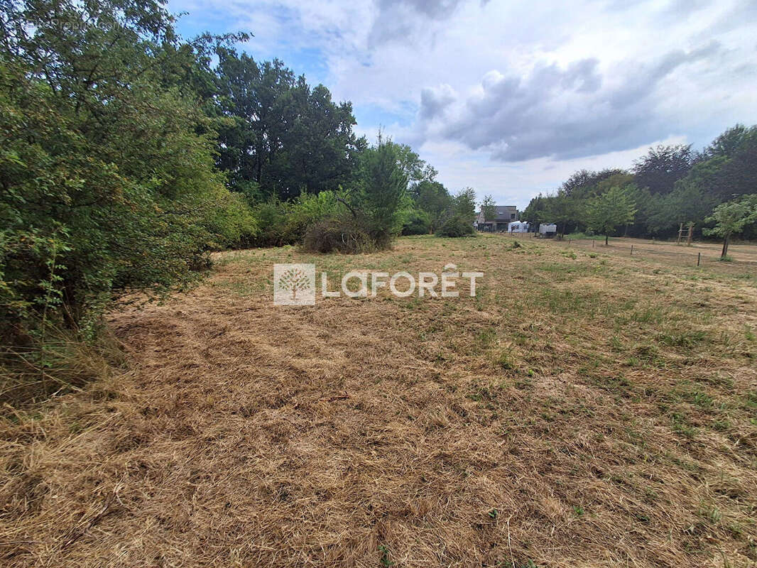 Terrain Manom 4203m2 - photo 9